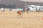 SBM_004367