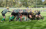 St Jacques v Tottonians-14