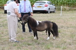 WJ6_5663