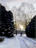 "Botanical Gardens, Edinburgh" - 'Winter Walk'