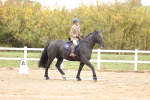 SBM_000105