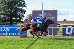 140826-Race 2-National Honour-0961
