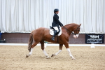 SBM_003221