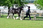SBM_10095
