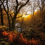 Light-on-the-river-Orchy