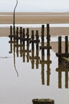 Reflections