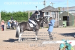 BPP_9041