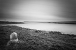 The Fleet, Weymouth - April 2013