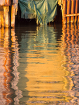 COLOUR -  WEEK #22