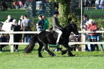 SBM_54086
