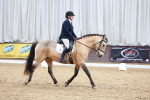 SBM_002464