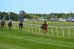 300526-Race 7-Red Rifle-0943