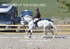 BPP_9573