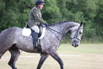 Class 4 - Novice 2 portfolio