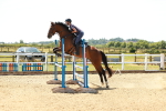 SBM_006528