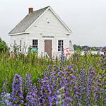 Deep Cove School (circa 1889) ~ Grand Manan, NB Canada