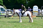 SBM_19449