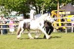 SBM_08551
