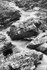 Winding rapids