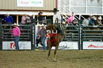 3HRodeo8-4-24_CFD_3HR-YUMA- 3446_A