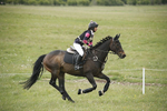 BVHT 140517  NXC -181