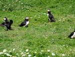 DSC00380