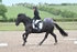 BPP_9426