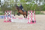 BPP_6651