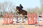 National 1.30m & 1.40m Open portfolio