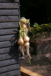 Backgrounds portfolio