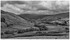Yorkshire6