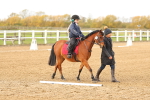 SBM_000258