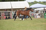 SBM_16145
