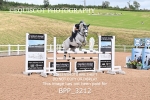 BPP_3212
