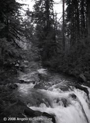 Waterfalls portfolio