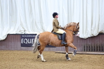 SBM_003474