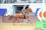 SBM_001548
