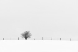 Beside