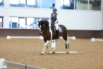SBM_002880
