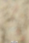 230702A-111137-08822