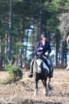WJ7_7274