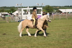 SBM_10195