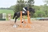 BPP_9024