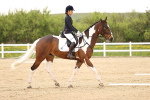 SBM_006907