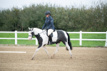 SBM_003488