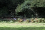 FOM_0688