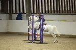 AJG_6650