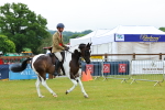 SBM_01008