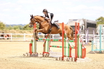 SBM_000976