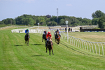 080726-Race 5-Sugarpiehoneybunch-7521